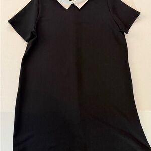 Zara Black Dress with White Collar